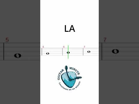 🎶 Las Notas Musicales 🎼